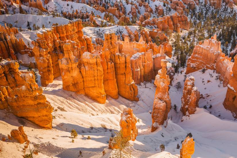 Photo - USA - Bryce Canyon #25